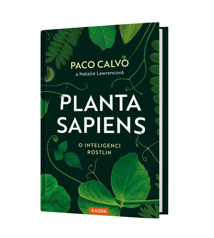 Planta Sapiens - maketa